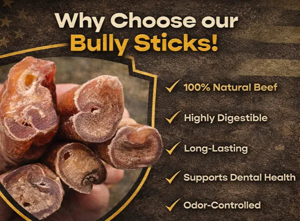100% ALL NATURAL BULLY TWIST 12" (2 pack)